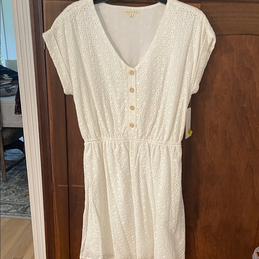 Universal Thread Cream Eyelet Button-Down Dress